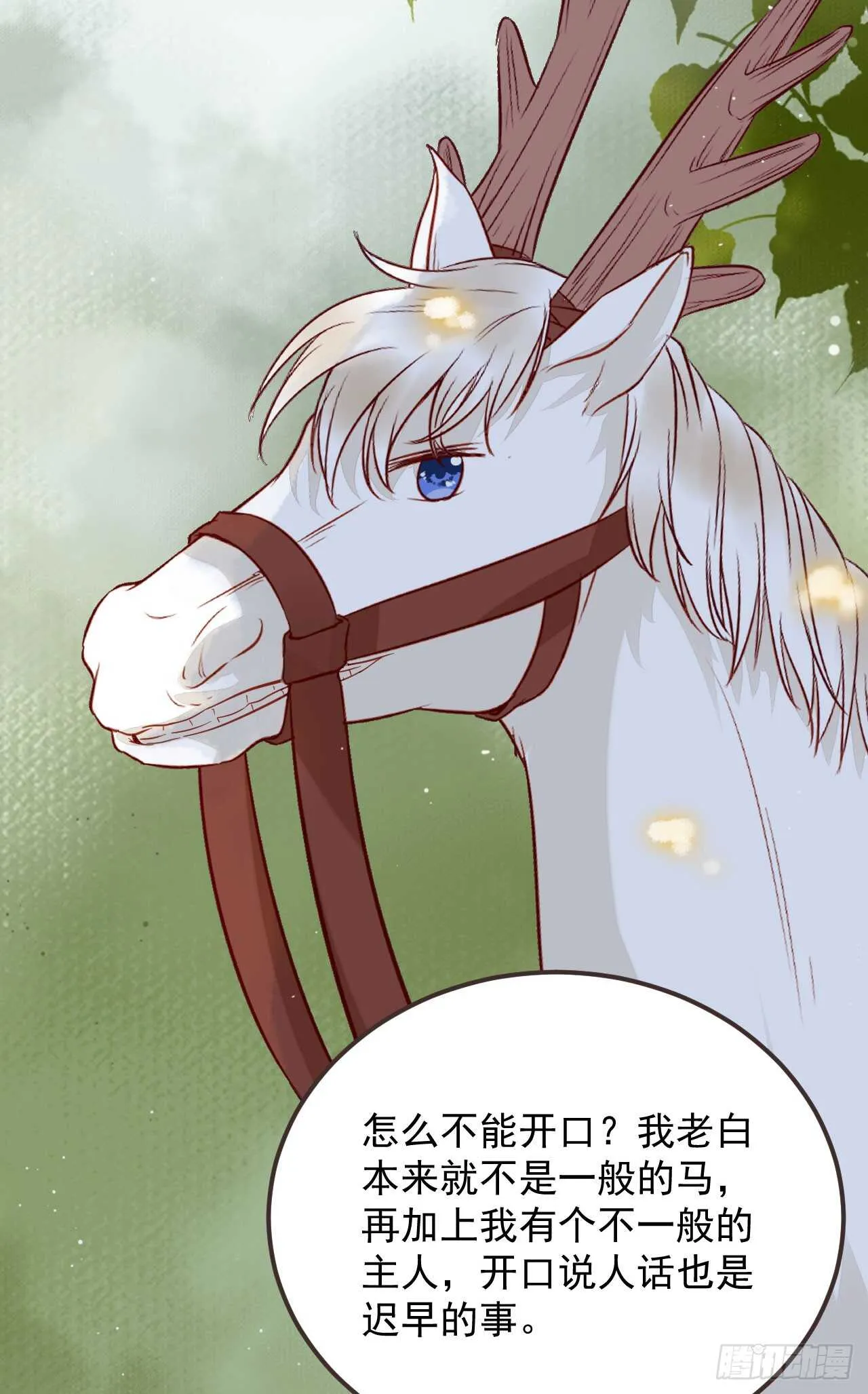 这两人配一脸 第14页