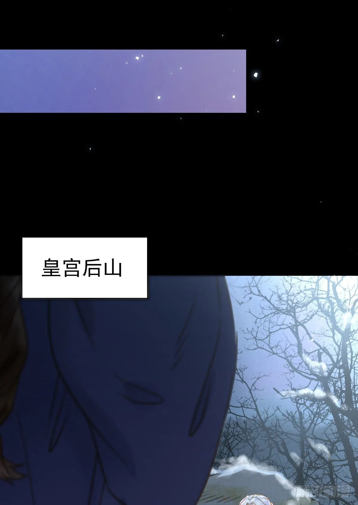 凤星现，异魂入世 第29页