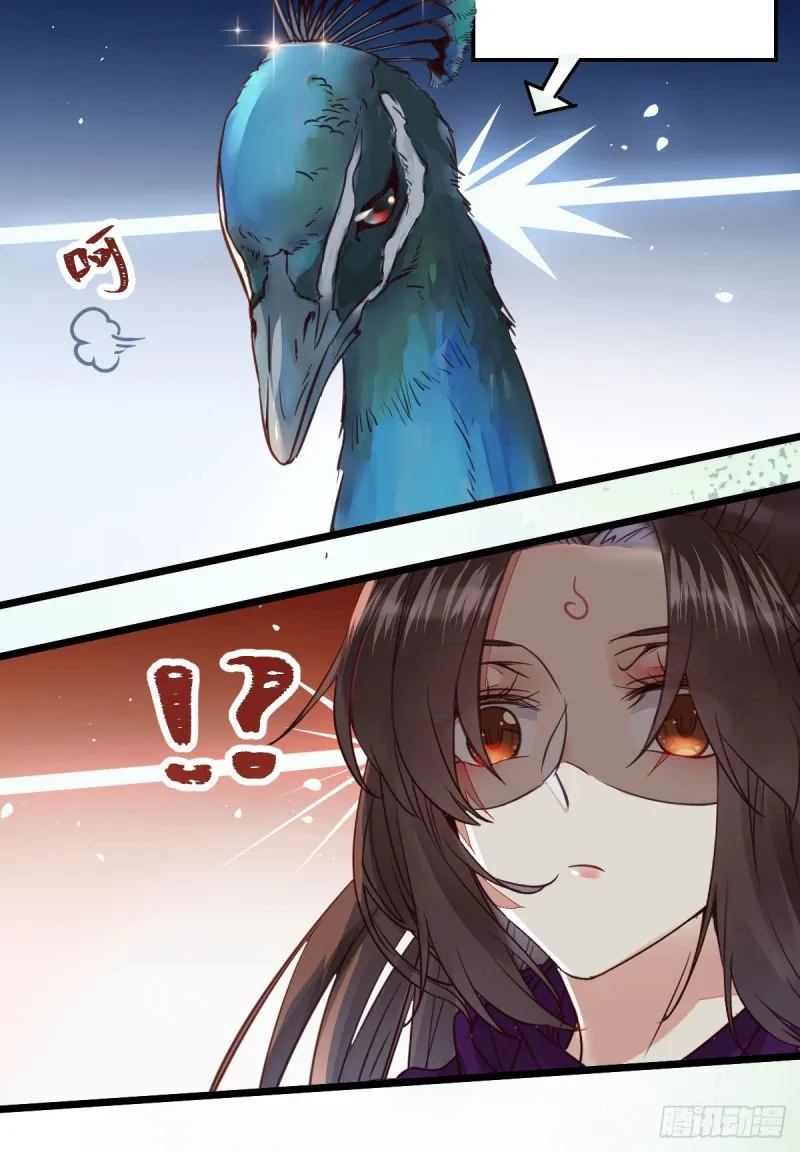 孔雀变烤鸡 第22页