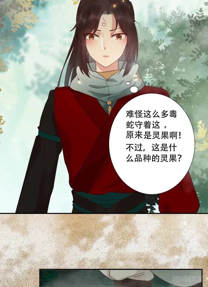 入蛇窝 第4页