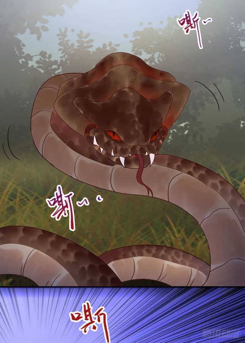 入蛇窝 第26页