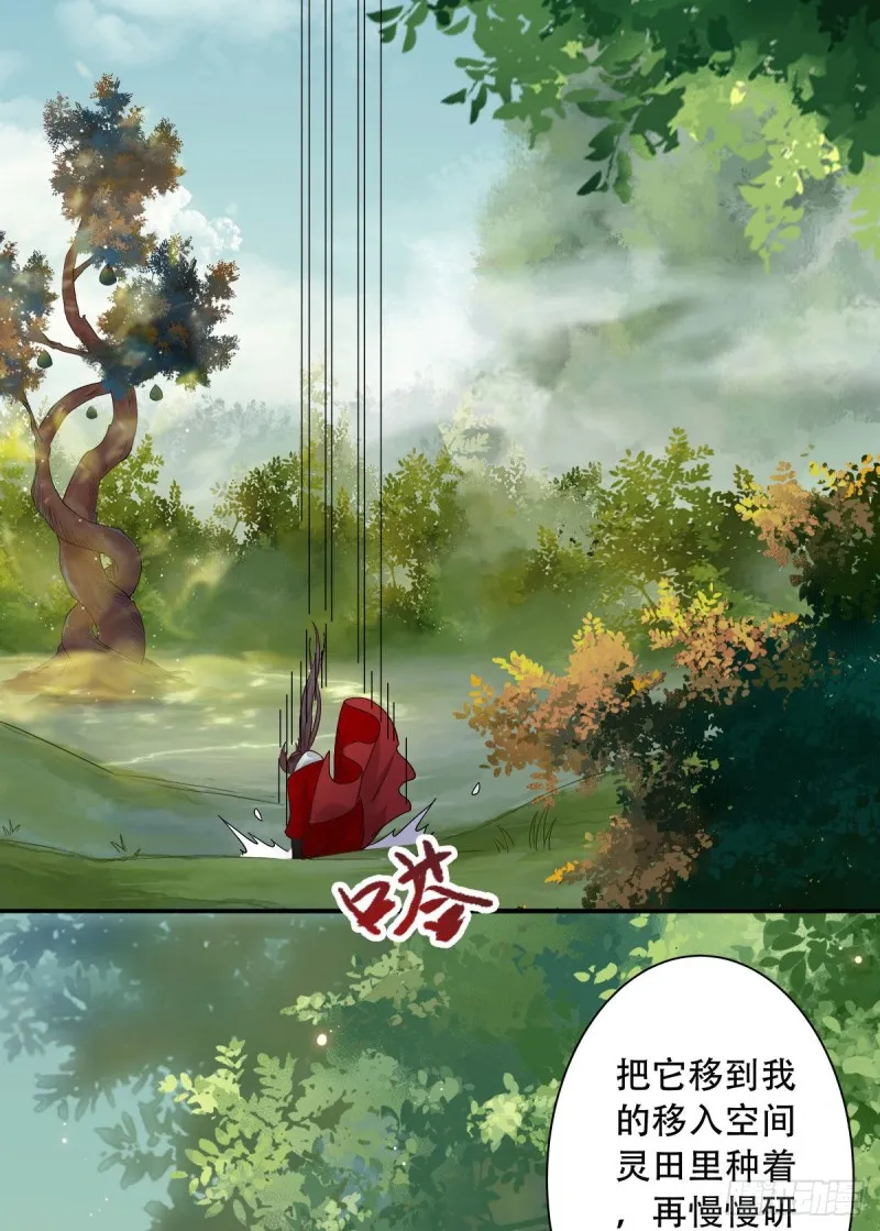 入蛇窝 第31页