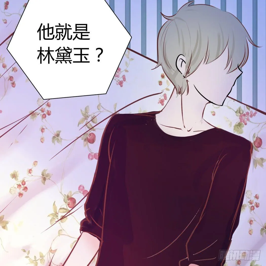 林黛玉变成了男的？ 第17页