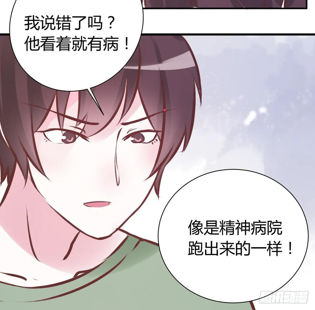 谁也不许欺负我家黛玉哥哥 第5页