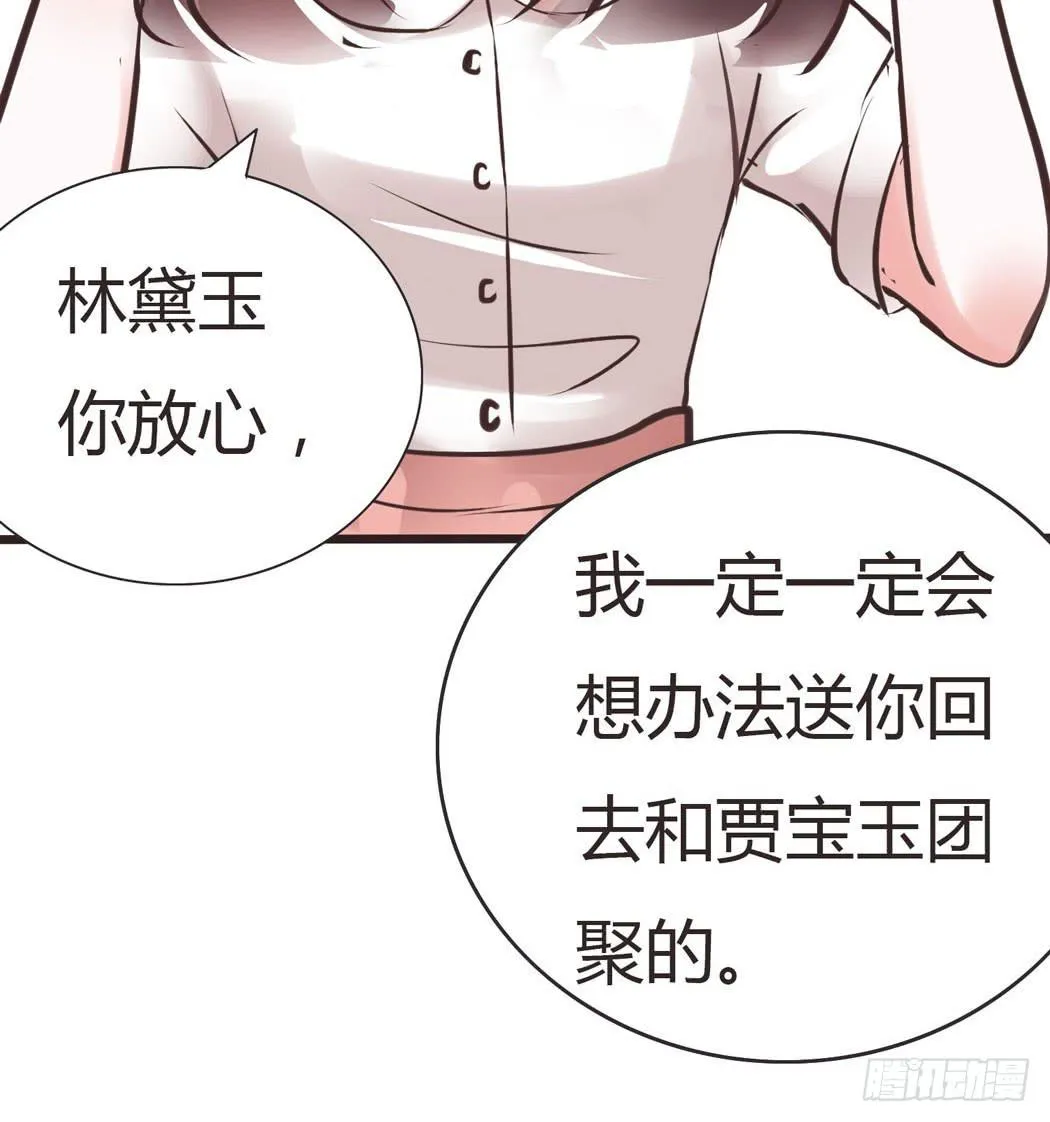 林黛玉决不可以看红楼梦 第17页