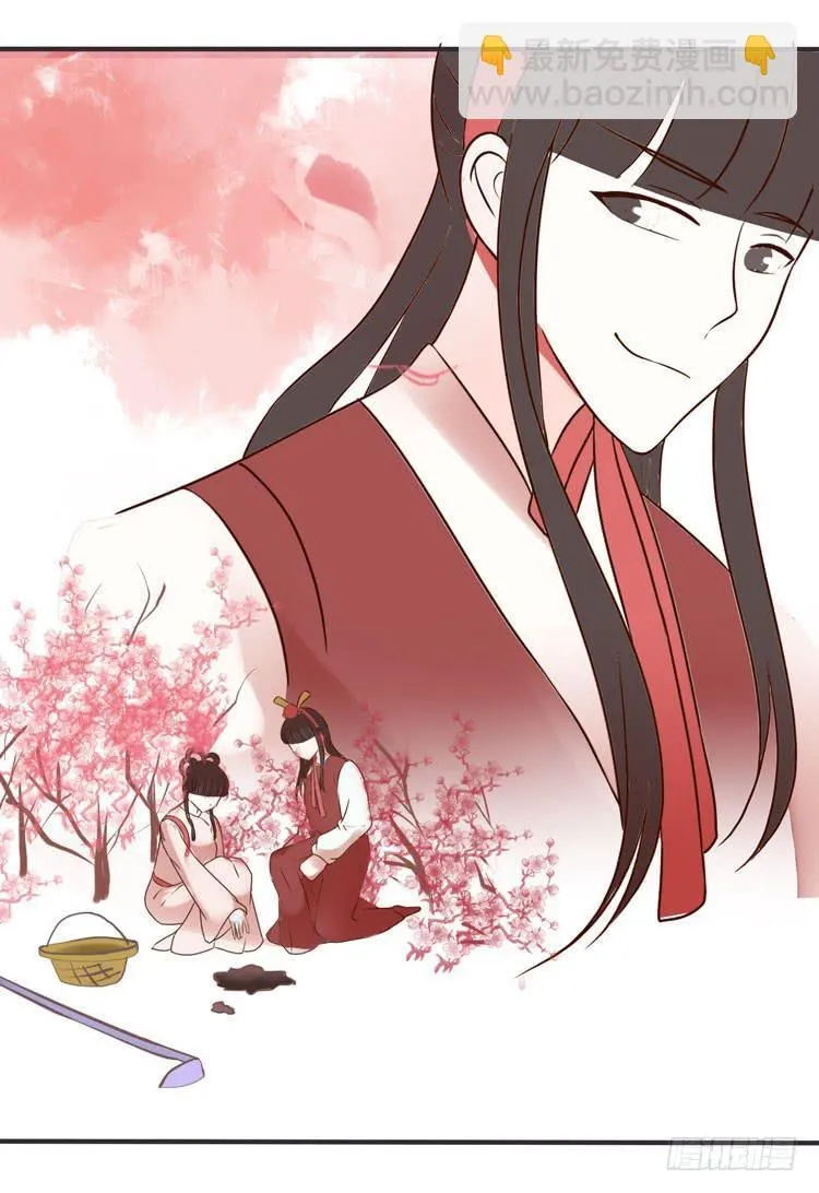2016年，黛玉再次葬花 第28页