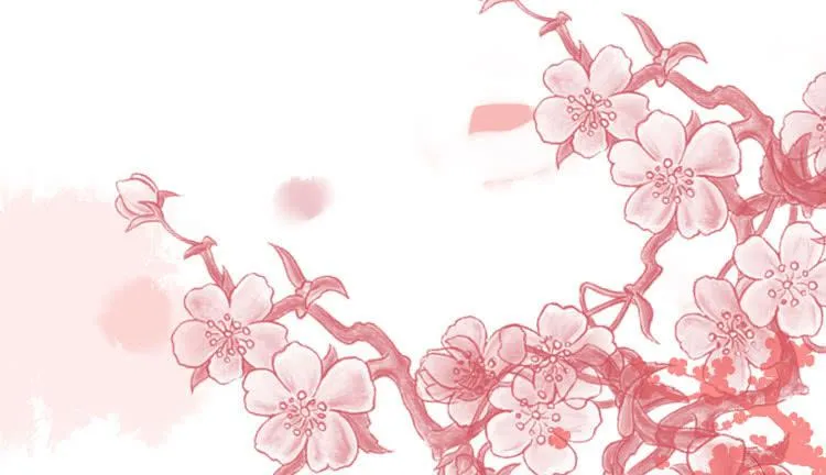 2016年，黛玉再次葬花 第31页