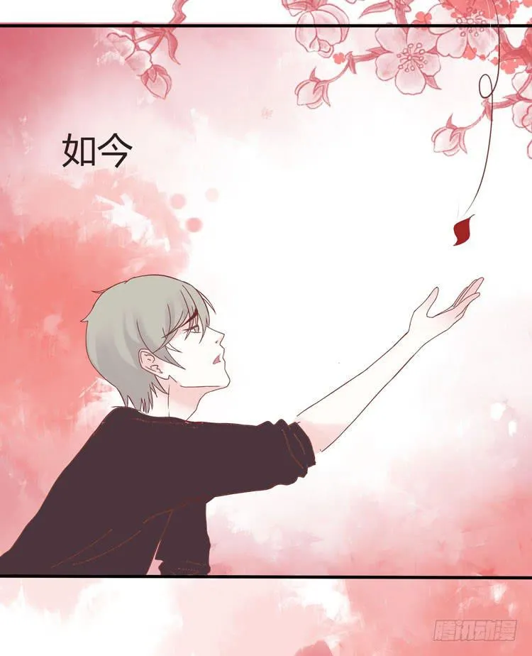 2016年，黛玉再次葬花 第32页