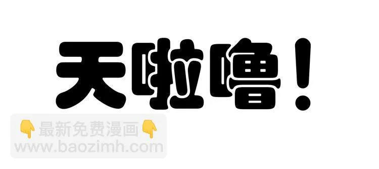 林黛玉掀翻了一辆车 第8页