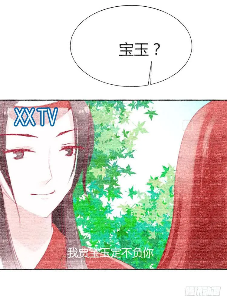 贾宝玉他，没有娶你呢…… 第5页
