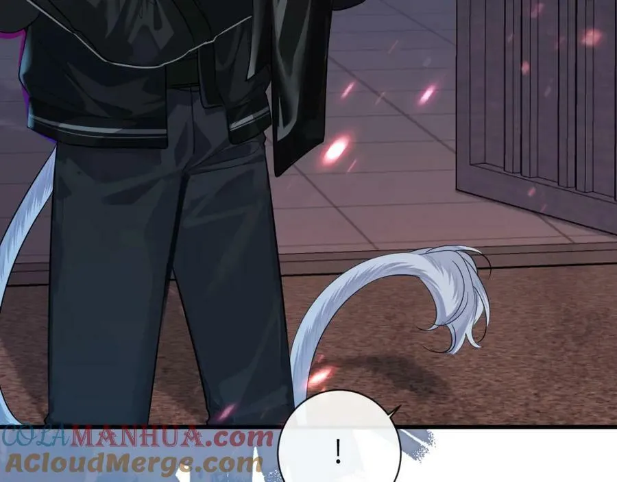 第65话 情感危机？ 第81页