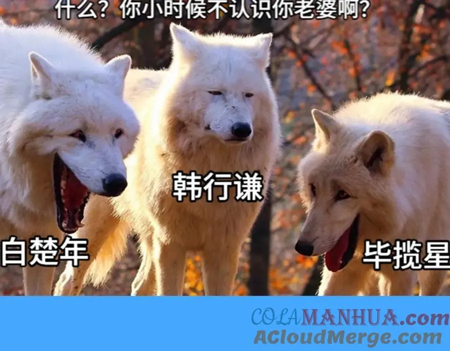 第41期 进来看看烂梗（日更中） 第5页