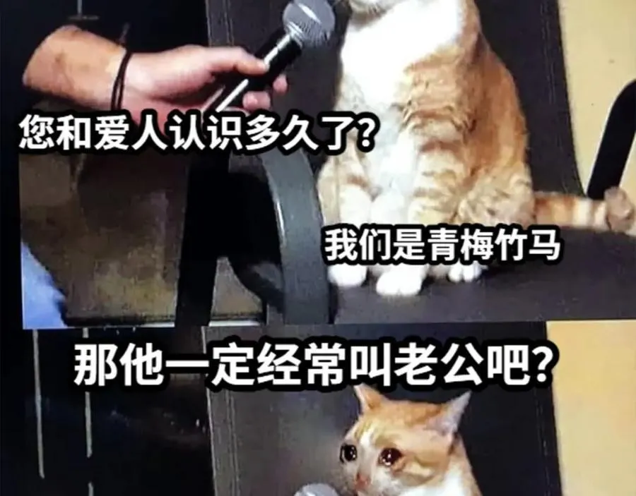 第37期 人鱼主角们开启5G冲浪，烂梗合集（日更中） 第18页