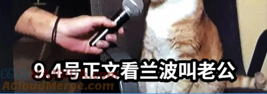 第37期 人鱼主角们开启5G冲浪，烂梗合集（日更中） 第19页