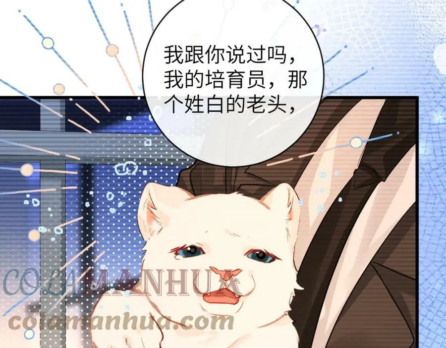 第54话 抉择 第46页