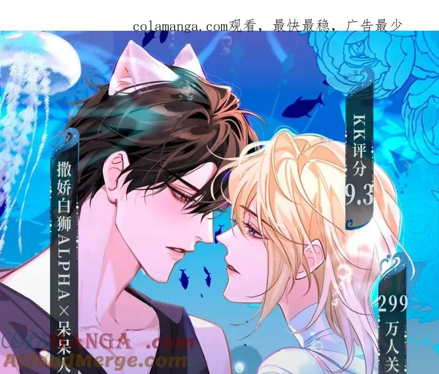 特典季·2月12日 一起围观猫猫头&啵啵鱼的新年！ 第1页