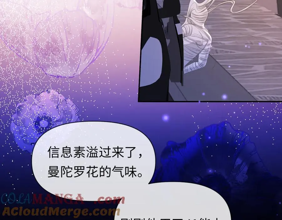 第137话 金缕虫 第61页
