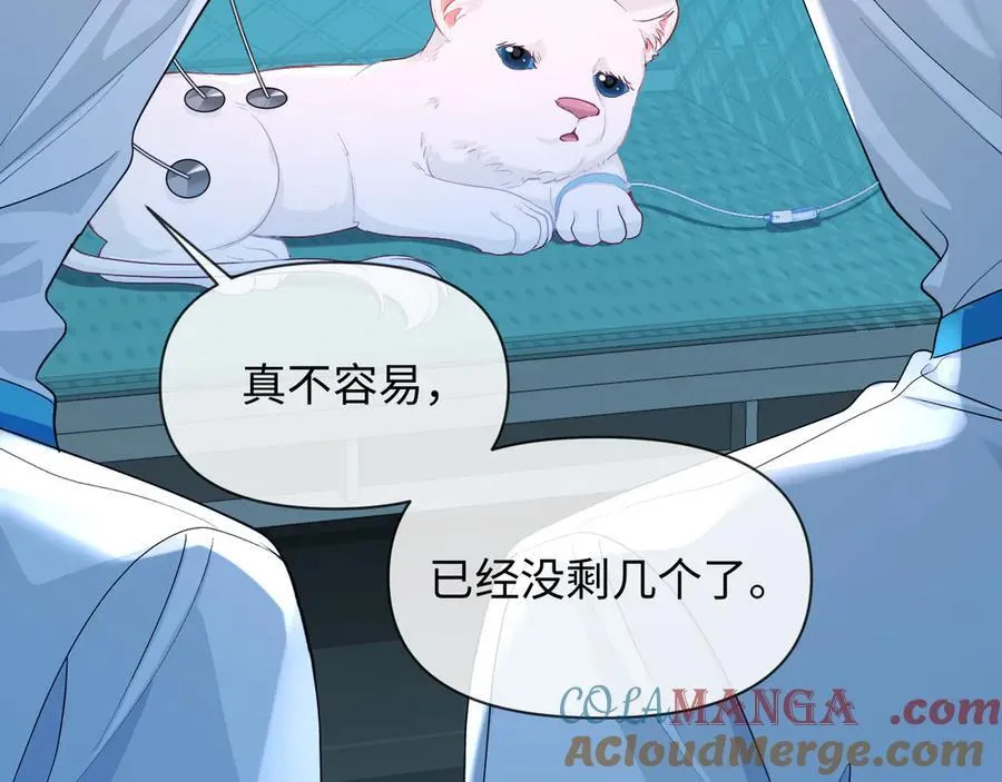 第142话 _兰波。_ 第13页