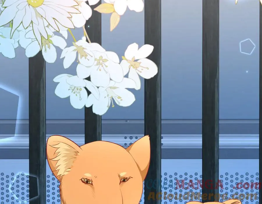 第142话 _兰波。_ 第65页