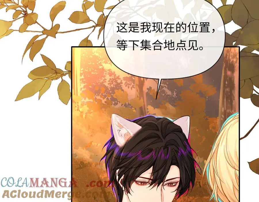 第148话 集合吧 第41页