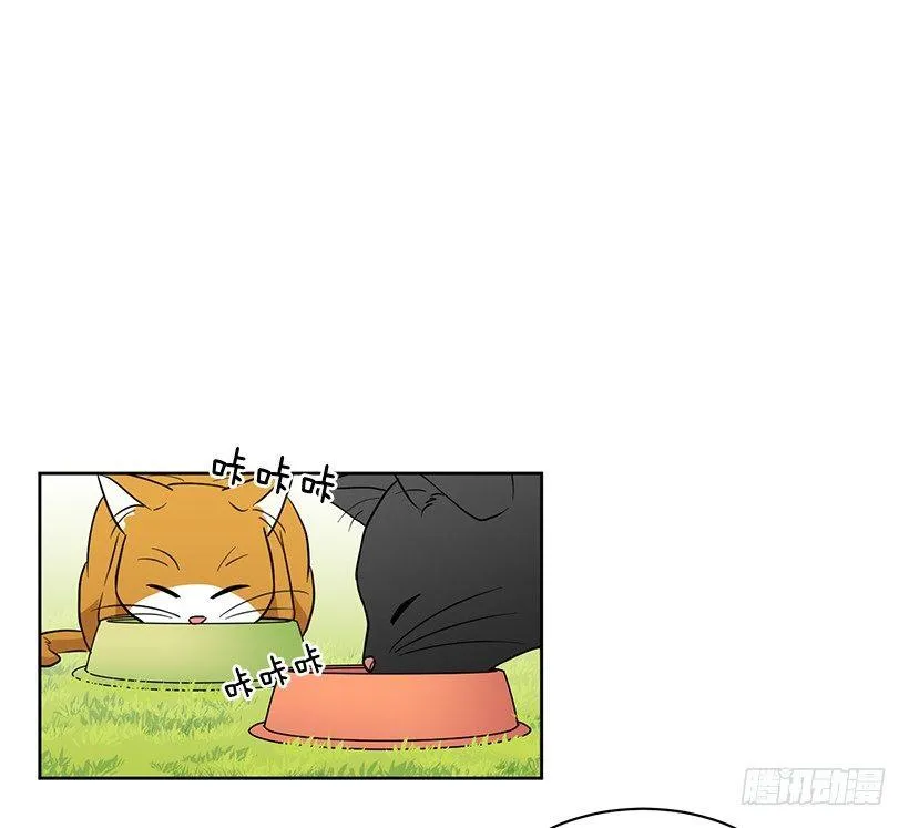 第61话 （下） 第17页