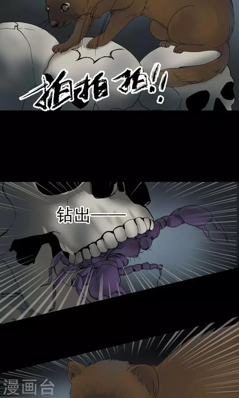 第47话 第17页