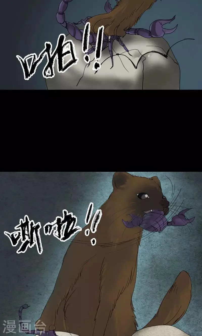 第47话 第20页