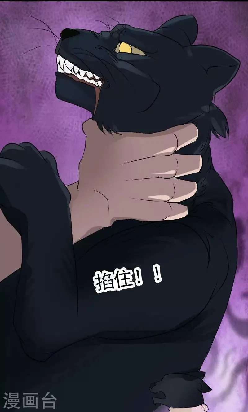 第77话 第17页