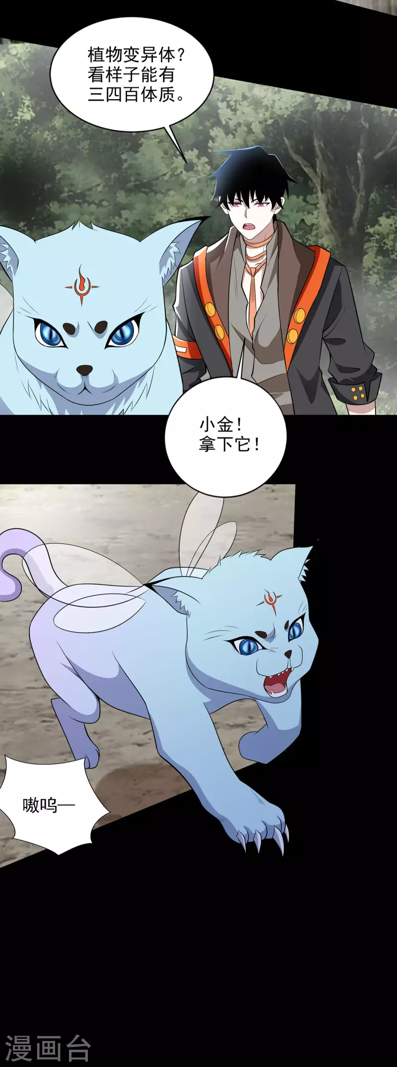 第488话 愤怒的小金 第13页
