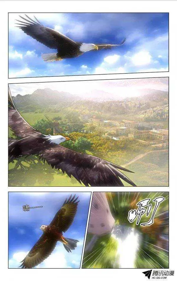 51 第6页