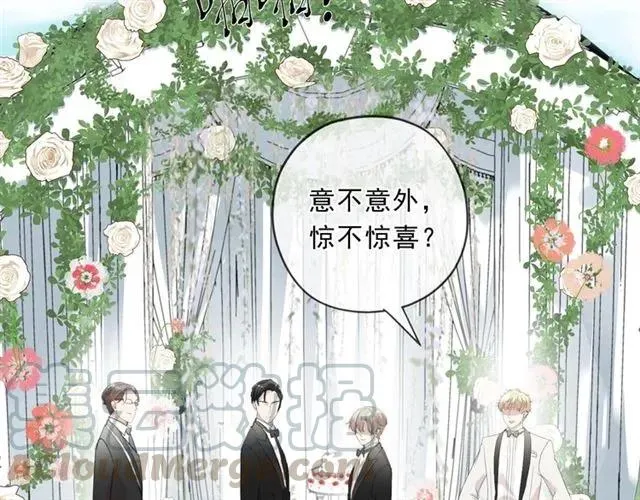 完结篇 一生一世，不负相思 第29页