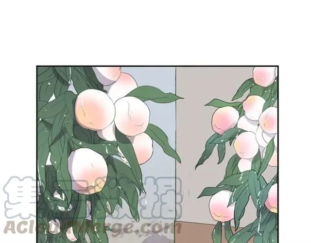 第74话 吃桃 第5页
