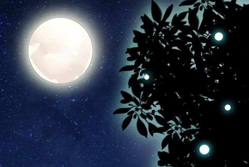 第3话 新婚夜 第24页