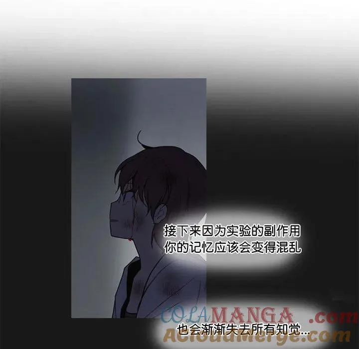 203 第52页