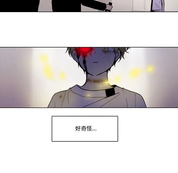 204 第66页