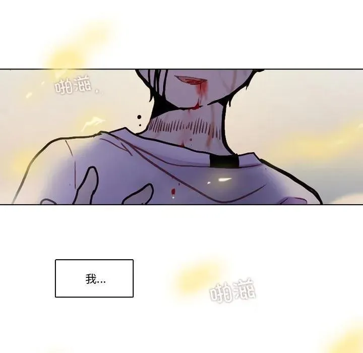204 第71页
