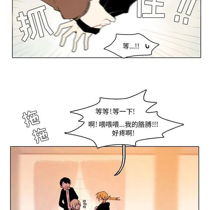 81 第26页