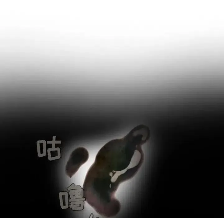 4 第17页