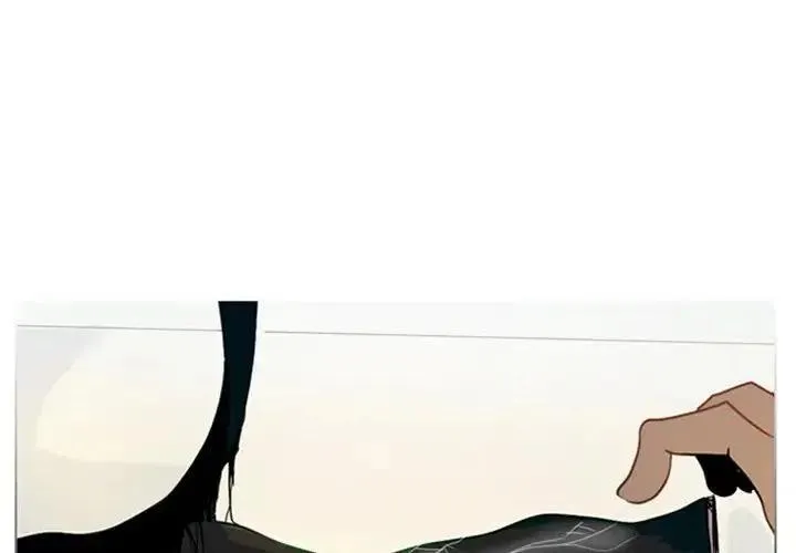 6 第3页