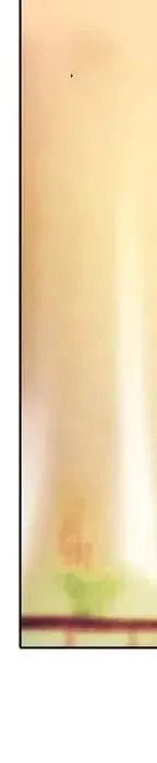 21 第86页
