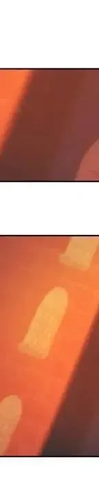 21 第147页