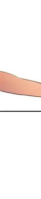 22 第31页