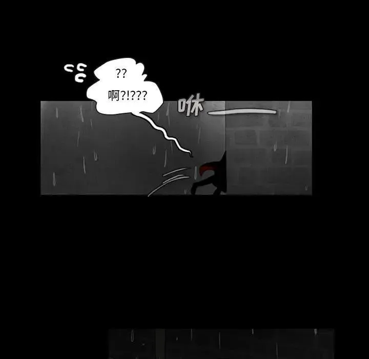 35 第23页