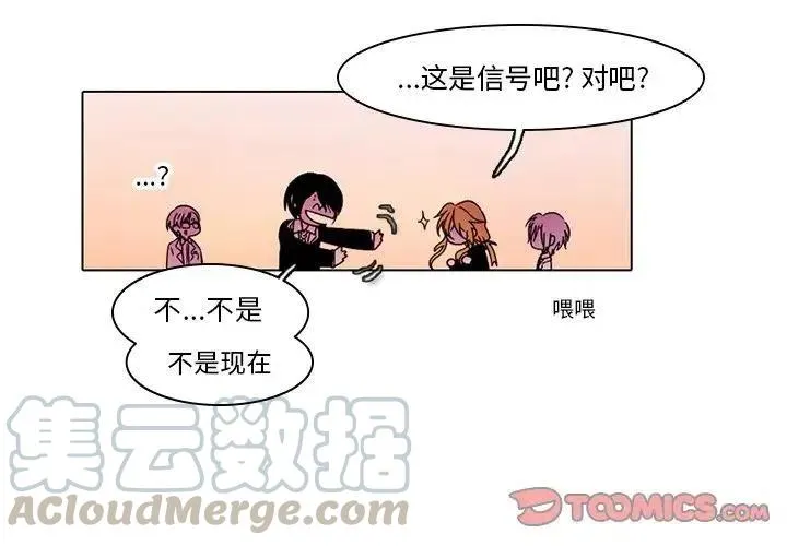 41 第3页