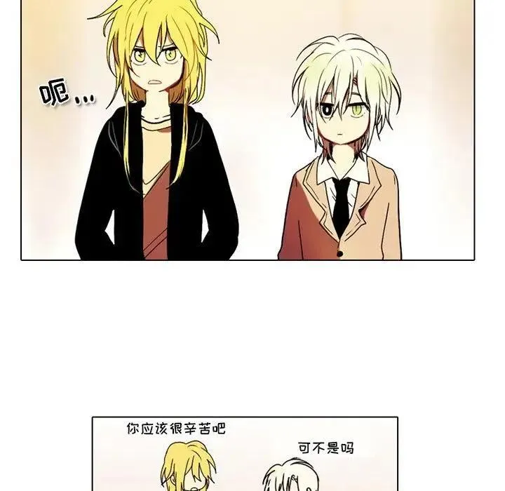 41 第8页
