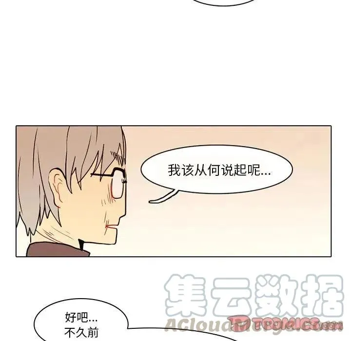41 第13页