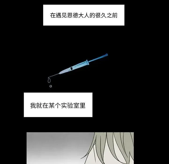 43 第26页