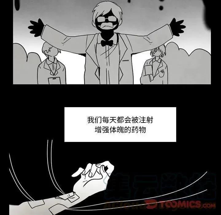 43 第28页