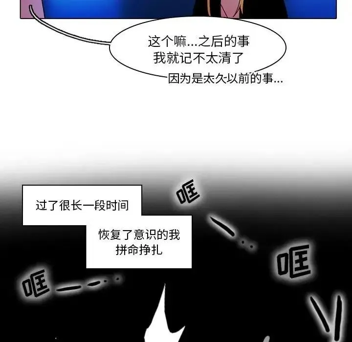 43 第41页