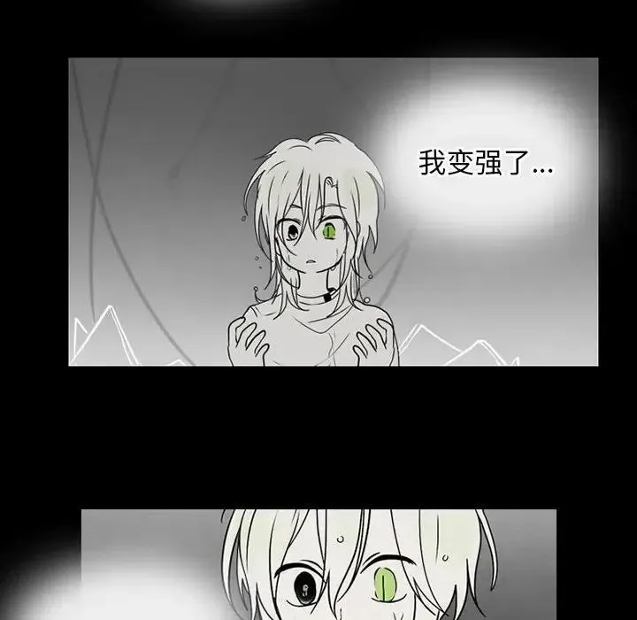 43 第44页